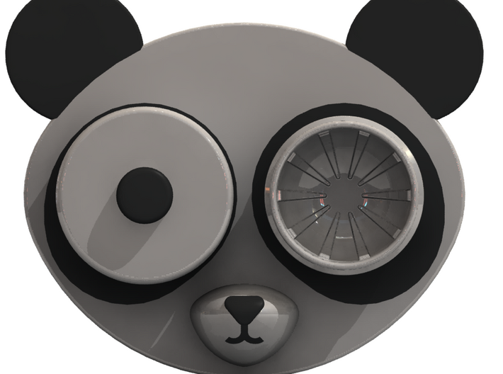 Panda Contact Lens Case 3d printed One eye removed