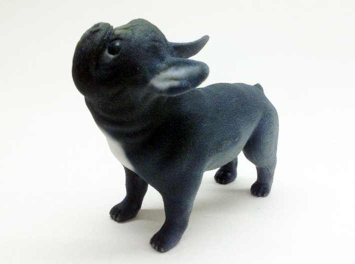 Looking Up Black Frenchie 3d printed 