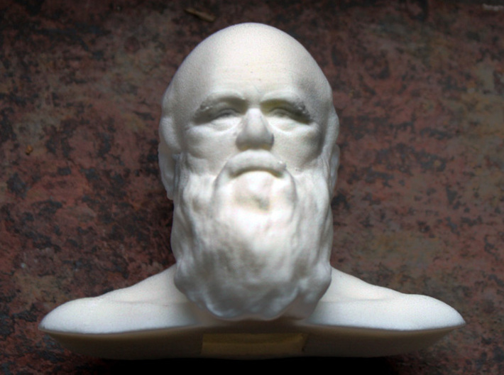 Charles Darwin Bust 3d printed A small bust of Darwin