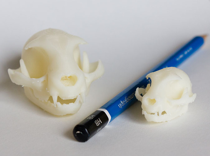 Mini Cat Skull Sculpture 3d printed Mini and Standard model with an HB pencil for scale. Printed on &quot;MakerBot: The Replicator&quot; at the local college. Shapeways prints should look even better since they use high resolution printers.