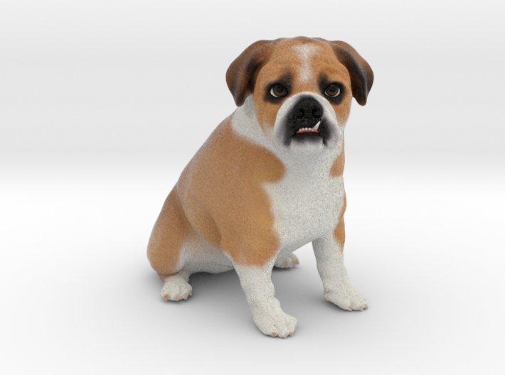 Custom Dog Figurine - Gomez 3d printed