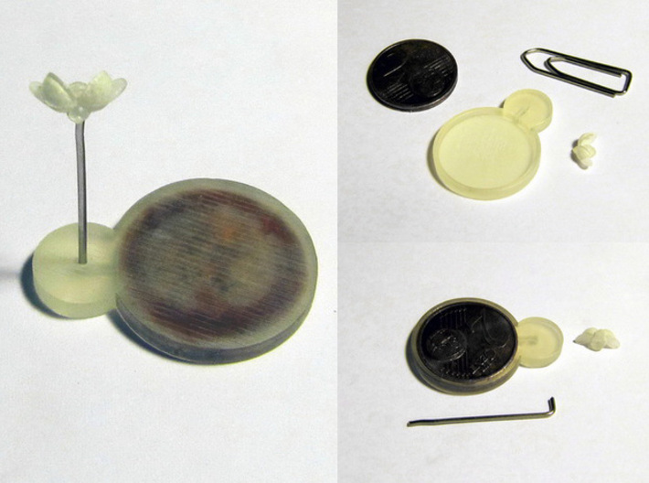 Cheese Golem, Ladybug, 4 Slugs, Doodlebug - M&amp;M 3d printed Ladybug (unpainted) assembly