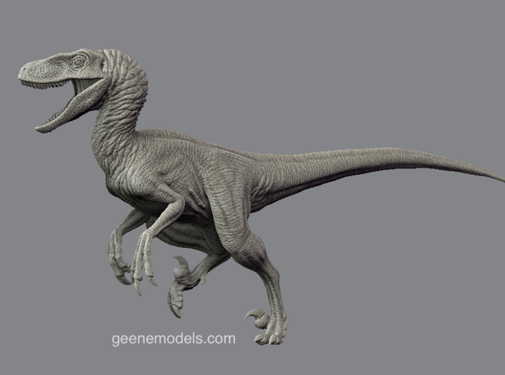 Dinosaur Raptor 25 cm Running V1 3d printed 