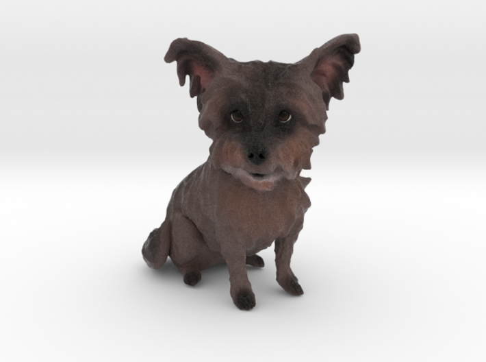 Custom Dog Figurine - Biscuit 3d printed