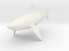 Shark0 3d printed 