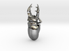 Large Silver Stag Beetle 3d printed 
