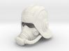 Sub Zero Tundra Mask & Helmet 3d printed 