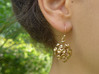 Discosphaera Coccolithophore earrings 3d printed Discosphaera earrings in raw bronze
