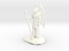 Winged Dragonborn Druid in Robes with Staff 3d printed 