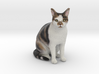Custom Cat Figurine - Simba 3d printed 
