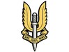 British SAS 22nd regiment "Who Dares Wins" badge 3d printed 