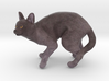 Fearing Gray Chartreux 3d printed 