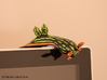 Yana the Nudibranch 3d printed Hand Painted White Strong & Flexible Polished - on computer monitor!