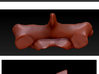 Cervical Neck Vertebra from a Human 3d printed 