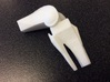 Bent Knee Joint - No Patella -Small 3d printed 