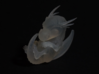 Tiny 'Crystalised' Baby Dragon 3d printed 
