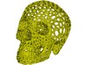 Human skull skeleton perforated sculpture 3d printed 