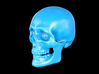 Skull Real 3d printed 