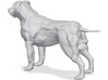 Dog Sculpture 3d printed 