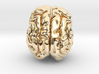 Cheetah brain 3d printed 