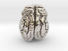 Leopard brain 3d printed 