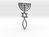 Messianic Seal Pendant 3d printed 