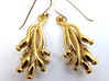 Ascilla Sponge earrings 3d printed Ascilla earrings in polished bronze