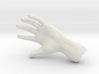 The Hidden Hand (Miniature) 3d printed 
