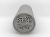 Taylor Hanko Japanese Kanji backward Stamp   3d printed 