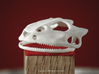 Frog Skull 3d printed WSF