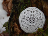 Snowflakes with Stars 1 3d printed 