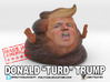 Donald "Turd" Trump 3d printed 