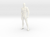 2016028-Strong man scale 1/10 3d printed 