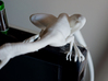 Compy dinosaur desktop figurine 3d printed Top detail