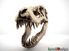 Tyrannosaurus Dinosaur Skull - T-Rex 3d printed 