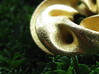Seedpod of Tacañita  - mobius pendant /sculpture 3d printed 