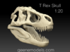 T Rex Skull 1:20  3d printed 