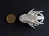 Small Dragon Skull 3d printed Next to euro coin