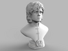 Tyrion Mini Bust 3d printed 3D render