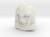 Aileron Faceplate (Titans Return-Compatible) 3d printed 