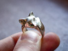 Fox Ring 3d printed Polished Silver