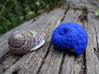 Snail Shell 3d printed Snail Shell - in Blue Strong and Flexible