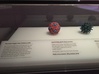 Polio Virus - Large 3d printed Here is our Polio Virus on display at the Museum Victoria in Melbourne, Australia