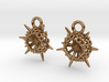 Spumellaria Earrings - Science Jewelry 3d printed 