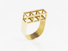 STRUCTURE Nº 3 RING 3d printed 