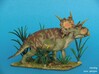 Xenoceratops (Small/Medium/Large size) 3d printed 