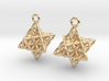 Flower Of Life Star Tetrahedron Earrings  3d printed 