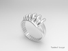 Ring of Rings 3d printed 