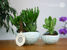 Porcelain Plant-pot in Water-Look (size XL) 3d printed Porcelain Plant-pot in Water-Look (size XL and small - Gloss Celadon Green)