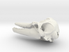 Tursiops Bottlenose Dolphin skull pendant 3d printed 
